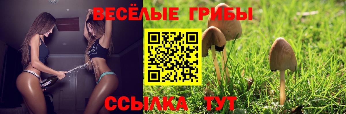 Галлюциногенные грибы Psilocybine cubensis  Вход с VPN  Славгород  Галлюциногенные грибы MAGIC MUSHROOMS 