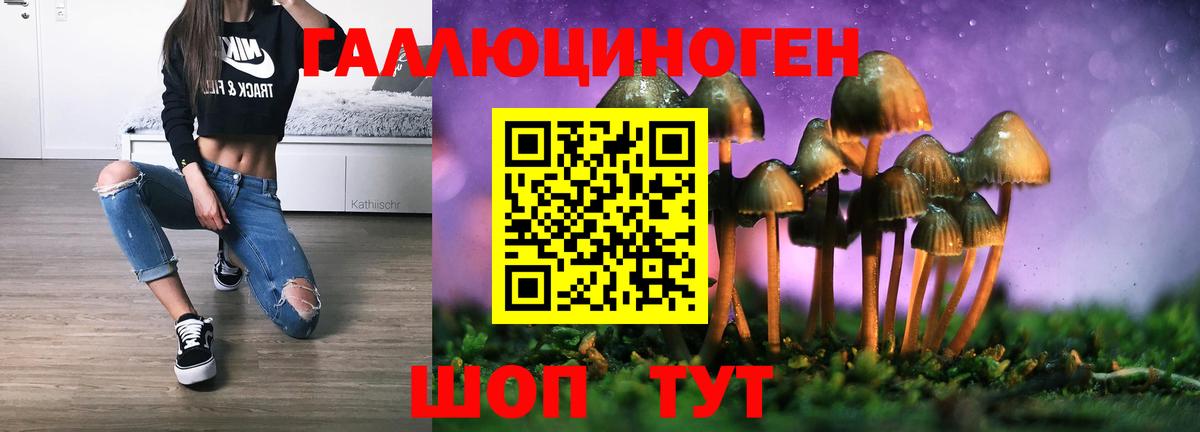 Псилоцибиновые грибы Cubensis Славгород