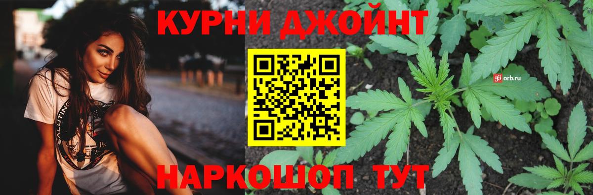 Каннабис конопля Славгород